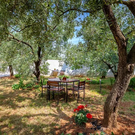 Letizia فاجانا